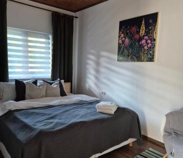 Partestii de Jos House | Casuta Sofiei