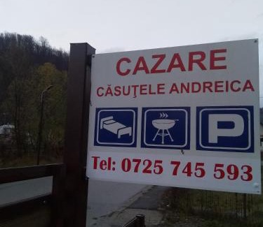 Viseu de Sus House | Casutele Andreica