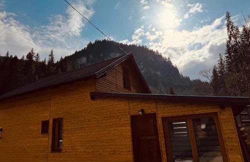 Lacu Rosu Cabin | Casutele Suhardul Mic