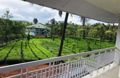 Elappara House | Cat Homes Vagamon