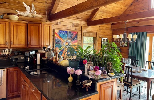Bovina Center Ski Chalet | Catskill Mountaintop Log Retreat - A quiet nature retreat