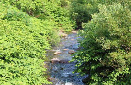 Shandaken Hotel | Catskill Seasons Inn