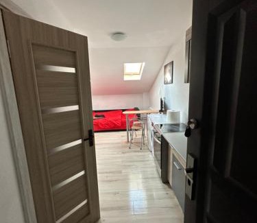 Arad Apartment | Cazare Regim Hotel