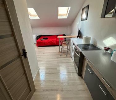 Arad Apartment | Cazare Regim Hotel