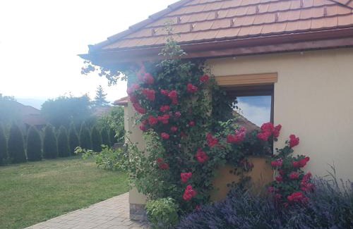 Miercurea-Ciuc House | Cazare rustică la curte