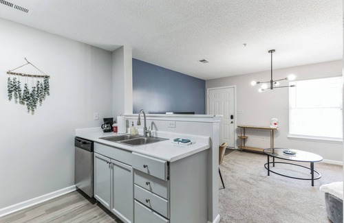 Westover Apartment | CB 3516-202 Modern Fayetteville Charm