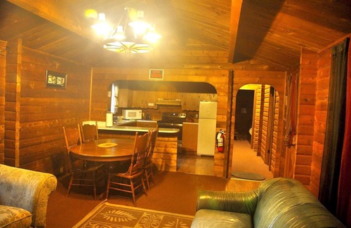 Ashford Cabin | Cedar Cabin just 0.4 mi from Mt. Rainier entrance