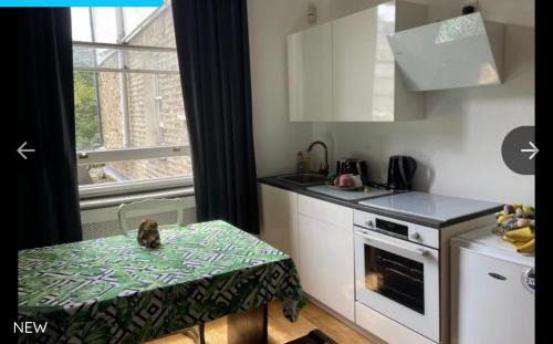 West Hampstead House | Cedar House