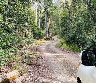 Salisbury House | Cedar Lodge - Barrington Tops Salisbury