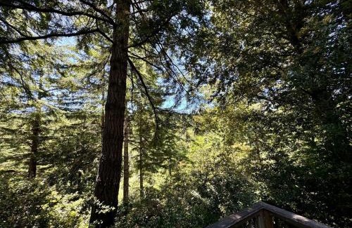 Gold Beach House | Cedar Valley Lodge