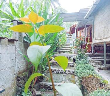 Banyuwangi House | Celcius Villa and Camp With Tour Ijen