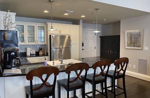 Greenville Downtown Condo | Center of Downtown- Upscale 1Br/1Ba with patio & private entrance