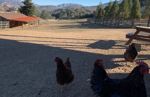 Keene Other | Central California Mountain Retreat