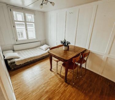 St. Gallen Apartment | Central city apartment with terrace