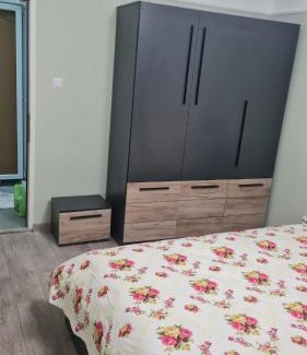 Sighetu Marmatiei Apartment | Central Flat