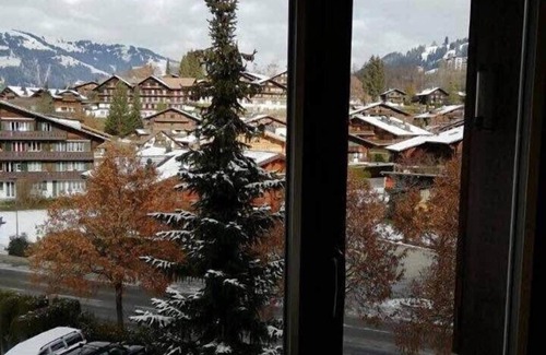 Gstaad Apartment | Central Location Cozy 3 BR Flat in Gstaad