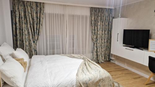 Ramnicu Valcea Apartment | Central Modern View AP