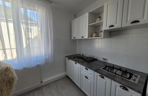 Piatra Neamt Apartment | Central Residence