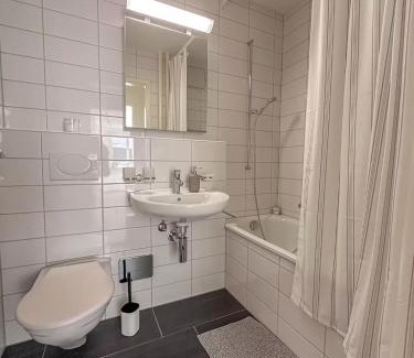 Basel Apartment | Central Studio Apartment with free BaselCard - Picasso