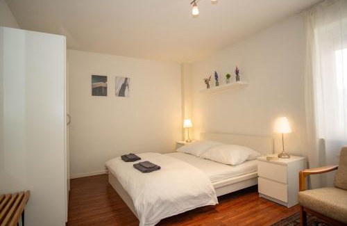 Basel Apartment | Central Studio Apartment with free BaselCard - Matisse