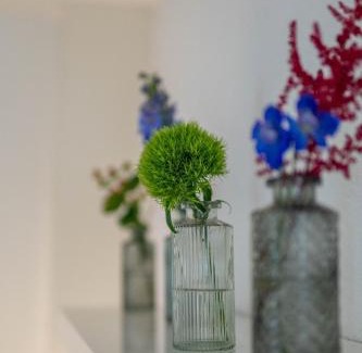 Basel Apartment | Central Studio Apartment with free BaselCard - Matisse