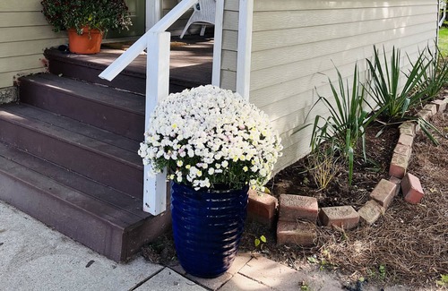 Lansing House | Central, Westside 4BD/2BT home with Huge extra lot. Pet Friendly. Long-term only