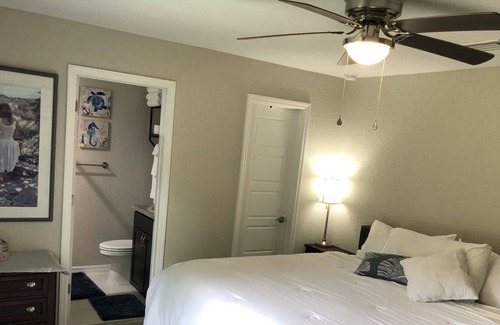 Belleview Heights House | Centrally located in a quiet nature setting. Long stays welcome! Fiberoptic WiFi