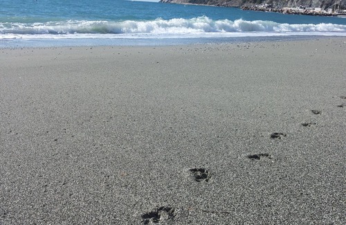 Levanto Apartment | CENTRALLY quiet and typical residence -150 mt. from the sea