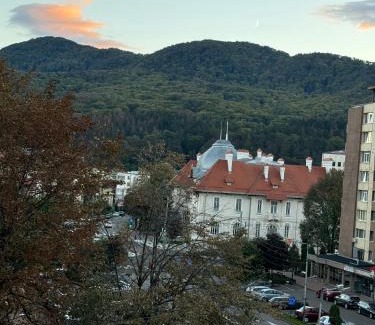 Piatra Neamt Apartment | CentraLuxury