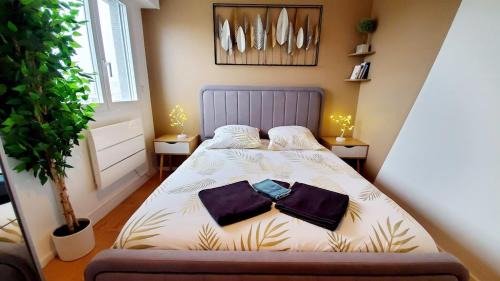 Vannes Apartment | centre ville, T2, superbe vue, parking privé