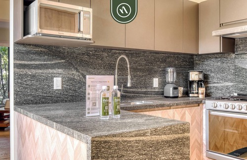 Colonia Roma Apartment | Centric 2 BR Condo in the Heart Roma Norte