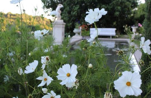 Valensole Bed & Breakfast | Château du Grand Jardin