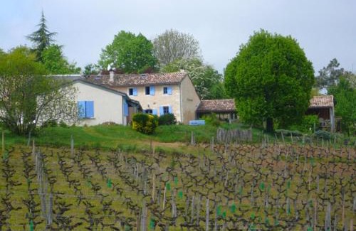 Salleboeuf Apartment | Château Régaldo-Saint Blancard
