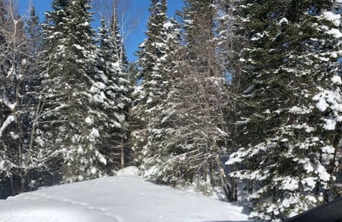 Esterel Ski Chalet | Chalet 4 oaks with swimming pool with access to the lake