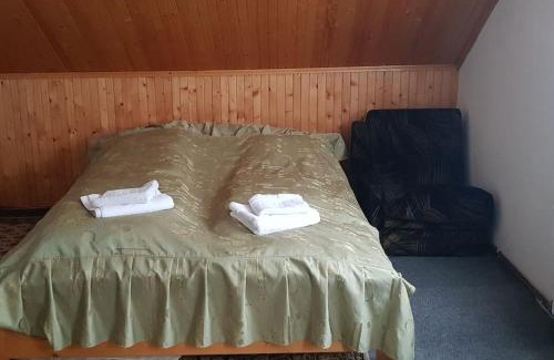 Petrosani Ski Chalet | Chalet Alpina66