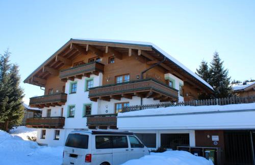 Hochkrimml Apartment | Chalet Alpine Royal B Top 21