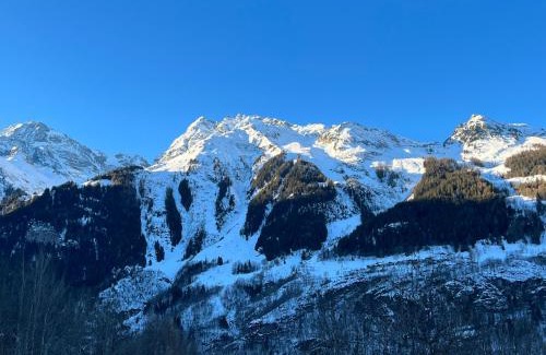 Sainte-Foy-Tarentaise Ski Chalet | Chalet Altus