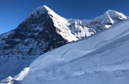 Grindelwald Apartment | Chalet Asterix