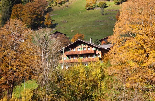 Grindelwald Apartment | Chalet Auf dem Vogelstein by Interhome