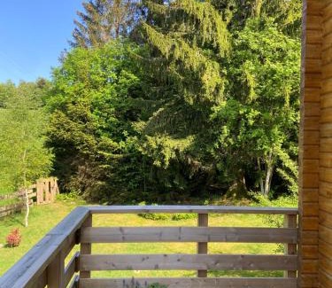 Anould Ski Chalet | Chalet authentique au calme, en lisière de forêt, montagne, sentiers 15mn Gérardmer & Alsace "Chalet Mon beau sapin"