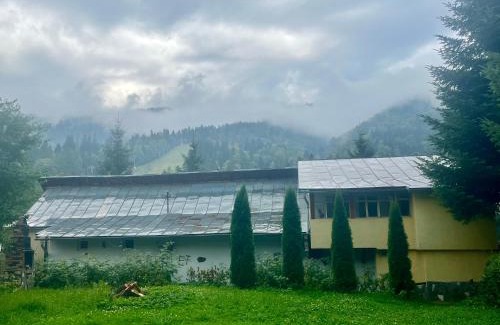Azuga House | Chalet Azuga