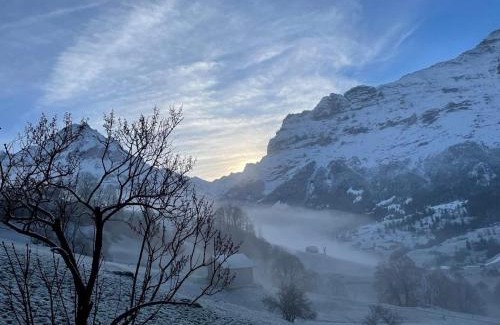 Grindelwald Apartment | Chalet Bachsbort 14