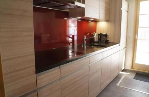 Ernen Apartment | Chalet Berken