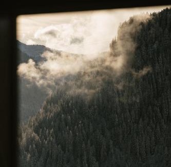 Chatel Bed & Breakfast | Chalet Châtaigne - Shared Catered Chalet