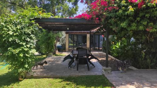 Chiclana de la Frontera House | Chalet con piscina privada, natural y acogedor