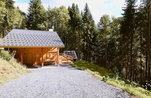 Samoens Ski Chalet | Chalet confortable avec cheminée et terrasse à Samoëns - FR-1-624-5