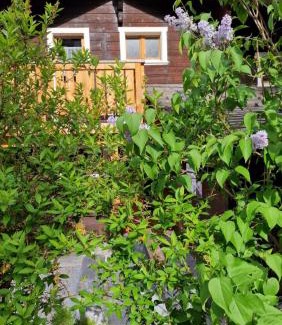 Fiesch Apartment | Chalet-Daheim-Fiesch 3,5-Zimmerwohnung