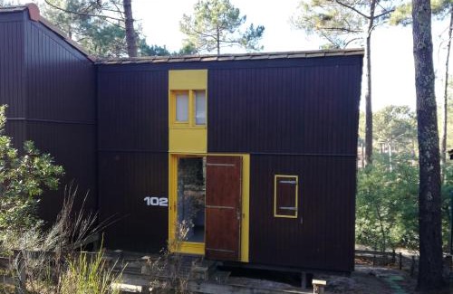 Maubuisson Ski Chalet | Chalet dans les pins