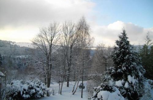Anould House | Chalet de Montagne Chaleureux avec Cheminée, Terrasse et Proche Ski - FR-1-589-2