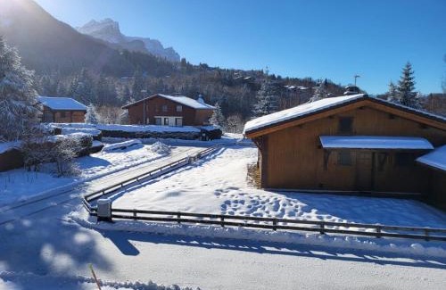 Les Carroz-d'Araches Apartment | CHALET DES NEIGES